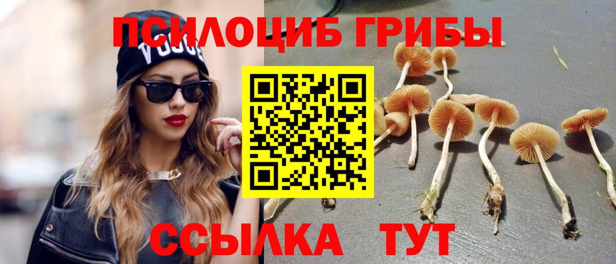 Псилоцибиновые грибы Magic Shrooms Алексин