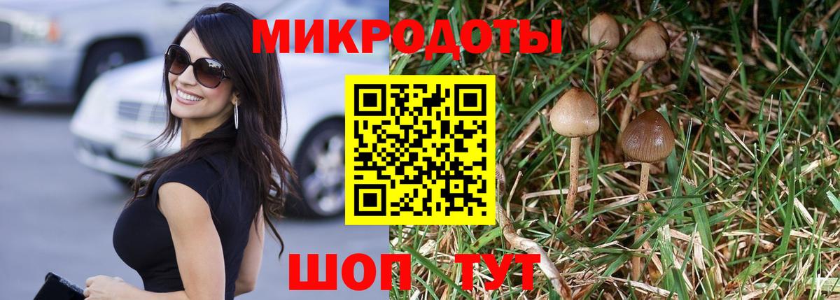 Псилоцибиновые грибы Magic Shrooms  Вход с VPN  Алексин 